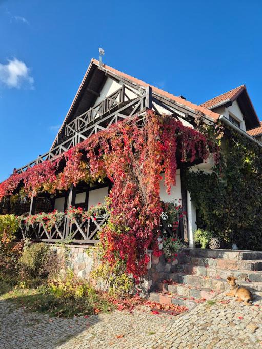 Pensjonat Rybaczowka - Noclegi, Restauracja, Port Bogaczewo  Exterior foto