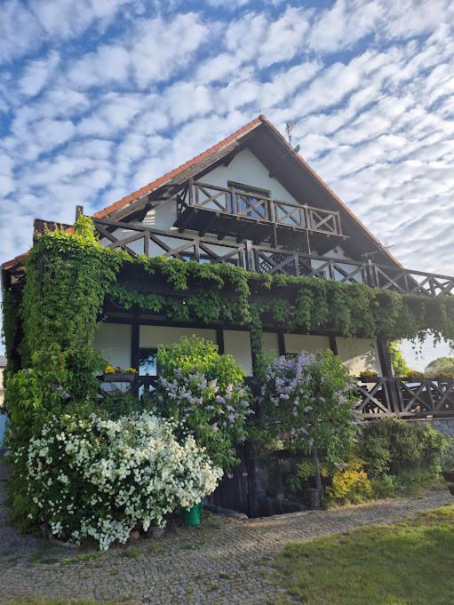 Pensjonat Rybaczowka - Noclegi, Restauracja, Port Bogaczewo  Exterior foto